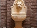 duomo Vicenza-Italian-Limestone-cathedral-wall fountain-lion head